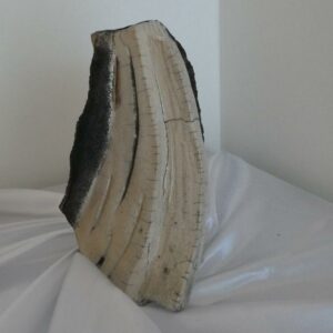 Vase Kirinuki en Grès Blanc Chamotté et Émaillé Raku